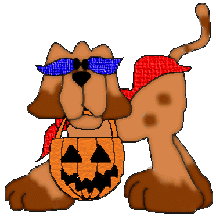 trick or treat dog