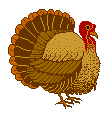 turkey