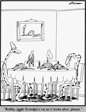 snakehumor07.gif