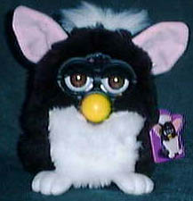 Coco, my Furby