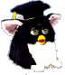 grad furby