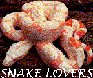 snake lovers ring