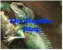 the reptile ring
